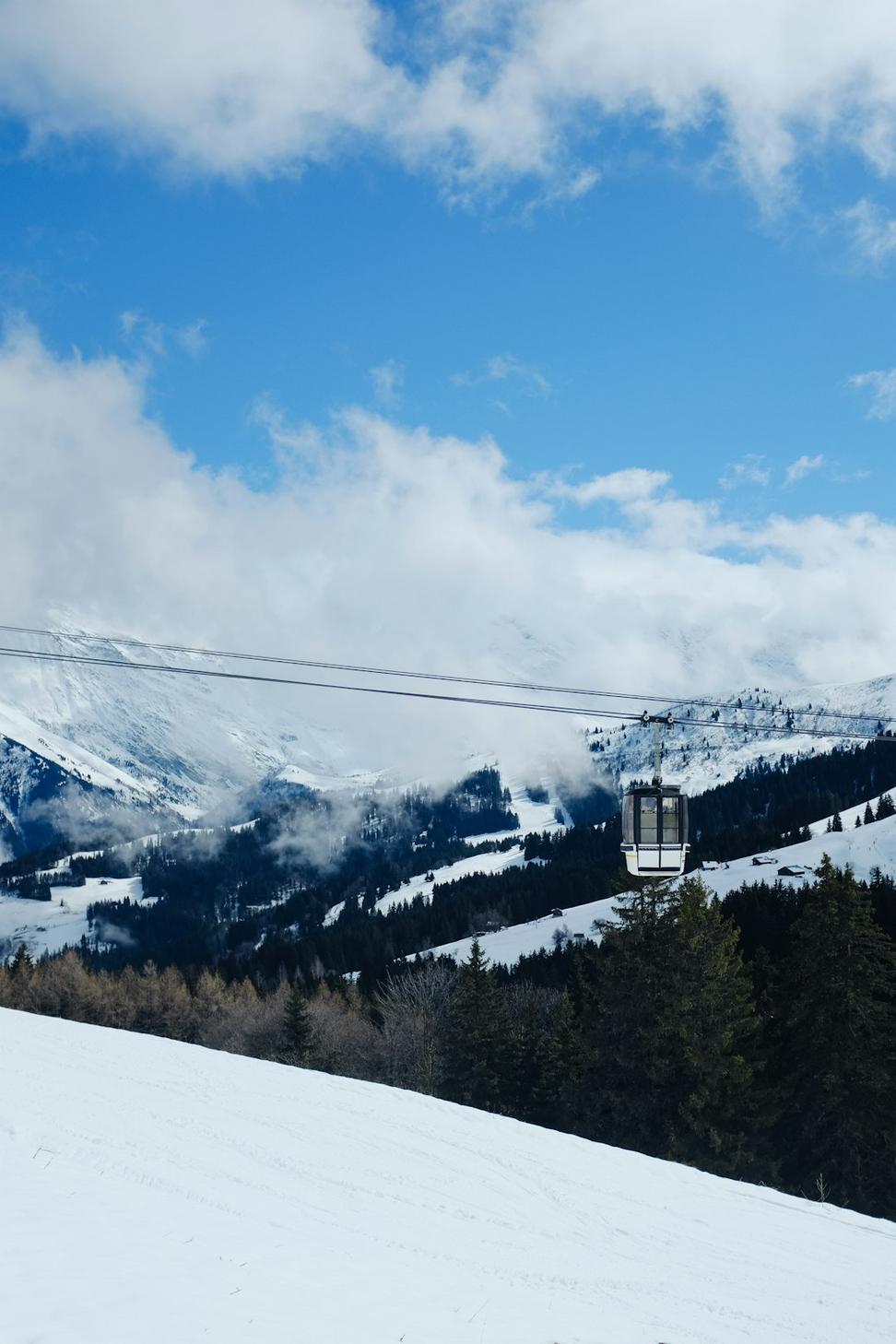 Mountain Vista
