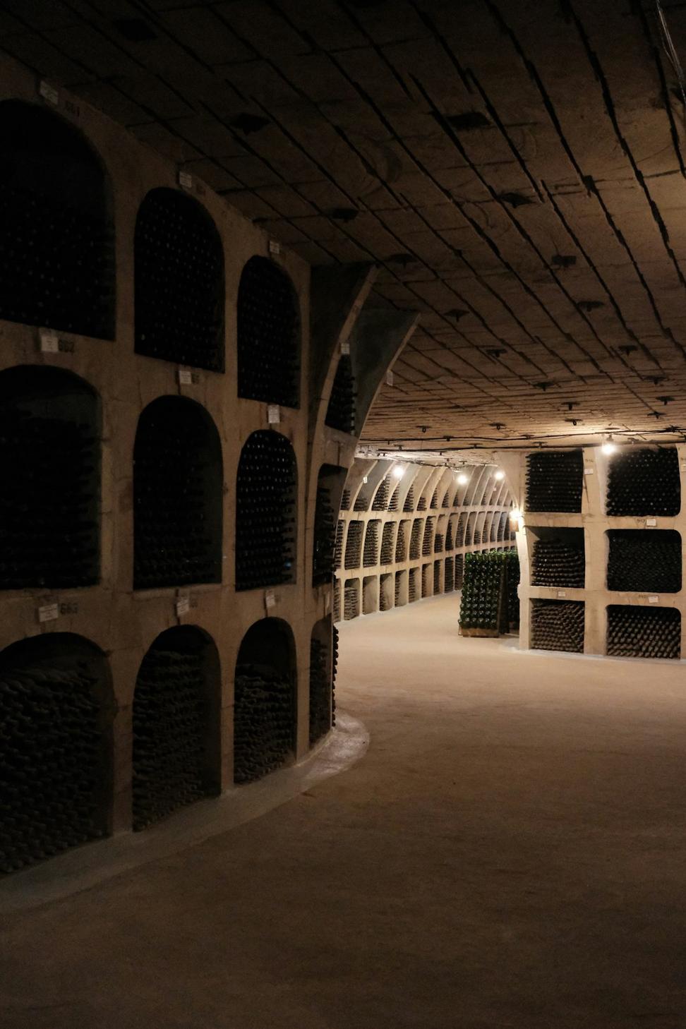 Wine Cellar